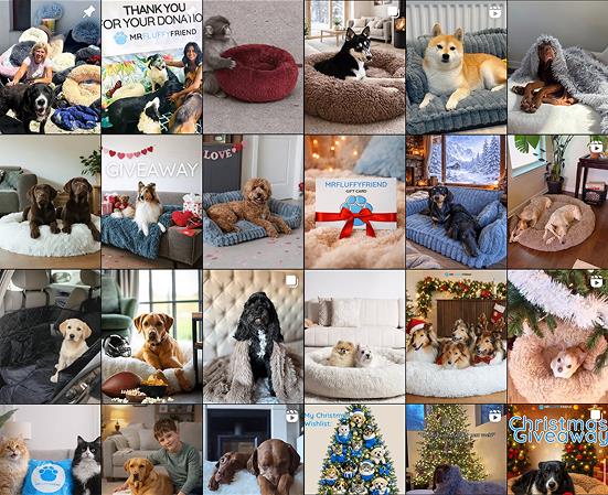 Kolaż zdjęć zwierzaków (psów, kotów) przesłanych przez klientów, na których widnieją produkty MrFluffyFriend

