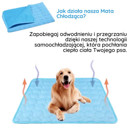 MrFluffyFriend® - Mata Chłodząca dla Psa i Kota