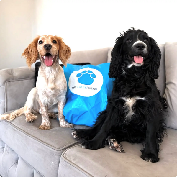 Jak rozpakować i dbać o swój produkt  MrFluffyFriend 🐾

