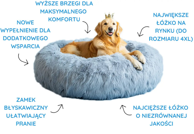 <strong>5 powodów ku temu, aby wybrać</strong><br> <em>króla wśród</em>