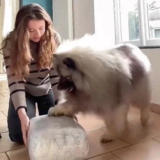 Scr 20250606 hrds mff e52463af ddde 4160 9cf0 806755d9f84f