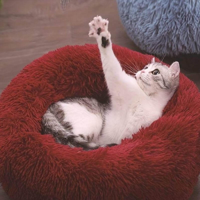 MrFluffyFriend™ – legowisko dla kota nr 1 na świecie, łagodzące lęk (NOWOŚĆ W MAGAZYNACH)