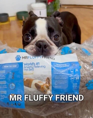 Agnieszka - 53 - Gdańsk